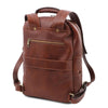 Rear View Of The Brown Large Backpack